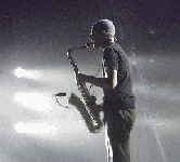 Dino Soldo